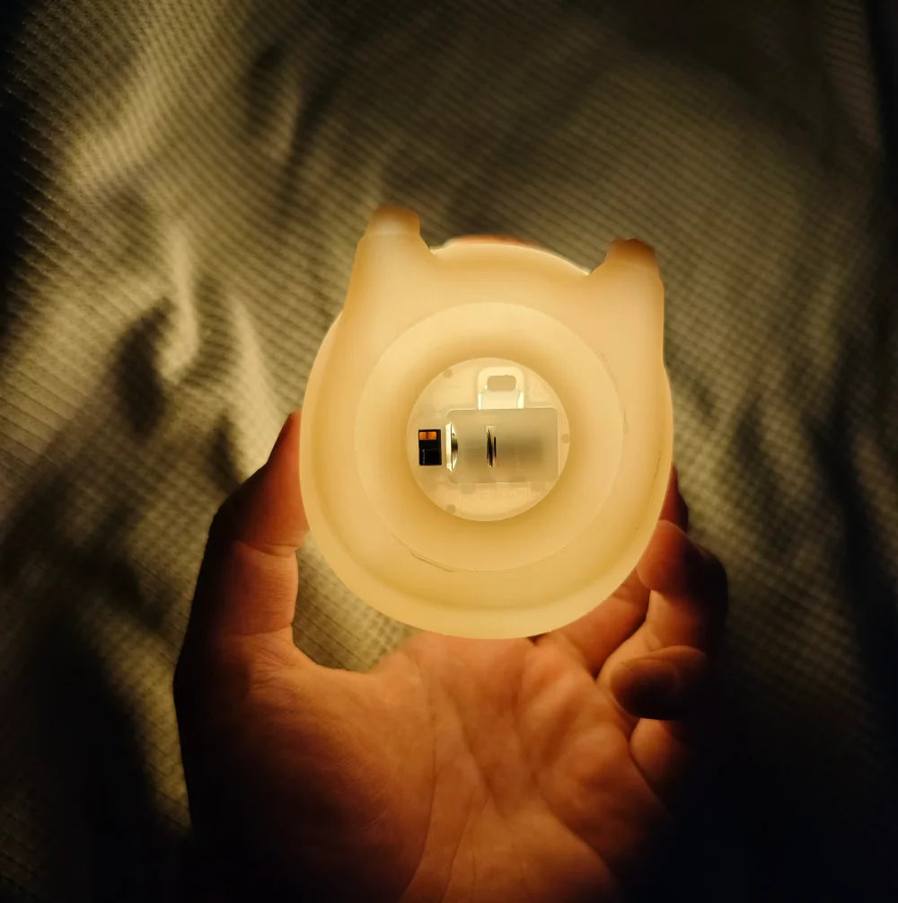 DwellingPlace Capybara Night Light
